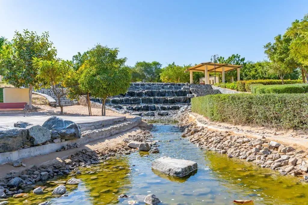 Soft Landscaping