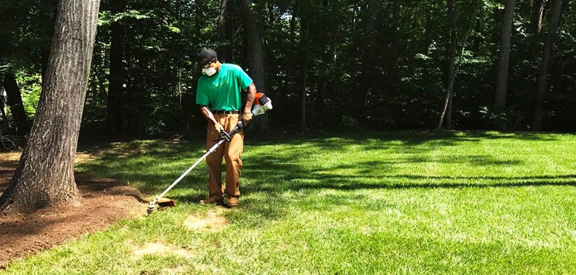 Pond & Water Features